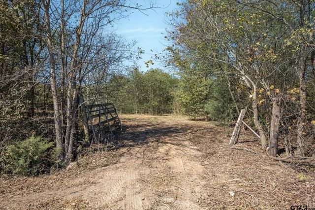 2805 VZ County Road 3507, Wills Point, TX 75169