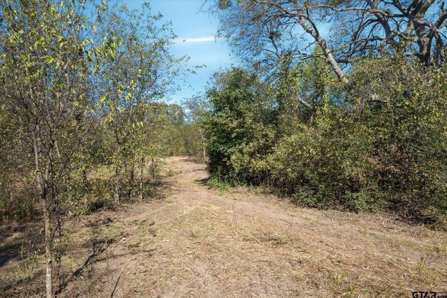2805 VZ County Road 3507, Wills Point, TX 75169