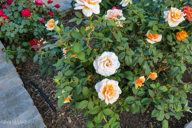 530 W Camino Fairhaven, Oro Valley, AZ 85704