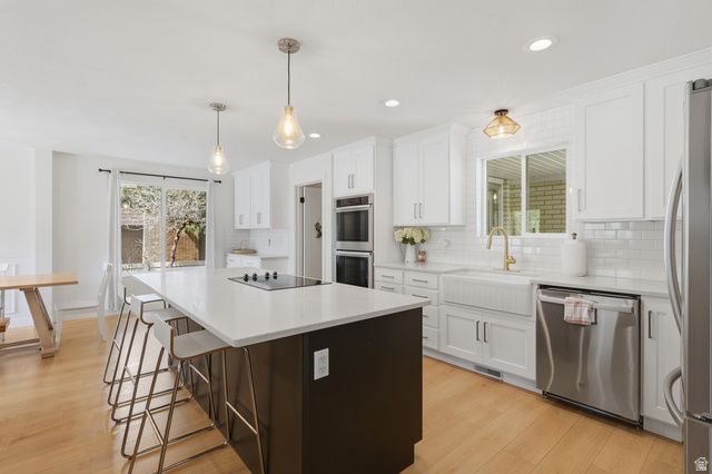 2508 E ROBIDOUX RD, Sandy, UT 84093