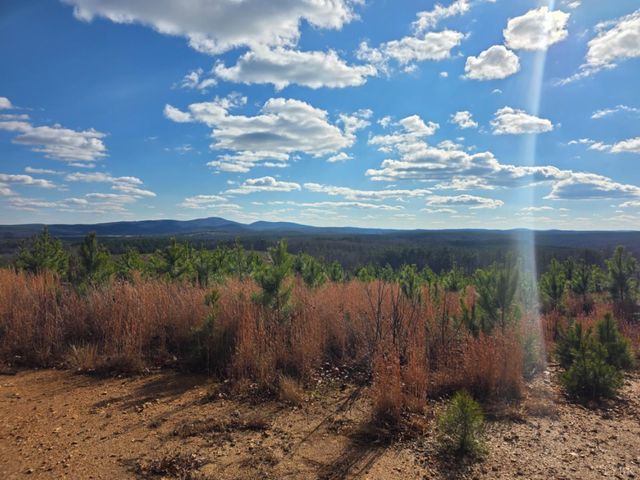 0 Norwood Road, Gladstone, VA 24553