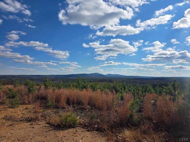 0 Norwood Road, Gladstone, VA 24553