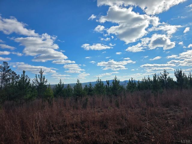 0 Norwood Road, Gladstone, VA 24553