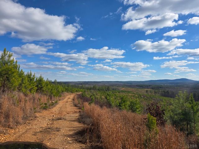 0 Norwood Road, Gladstone, VA 24553