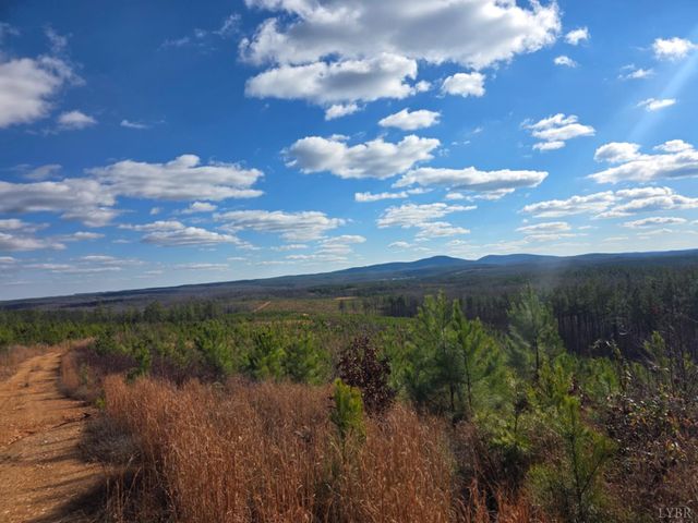 0 Norwood Road, Gladstone, VA 24553