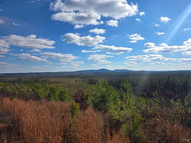 0 Norwood Road, Gladstone, VA 24553