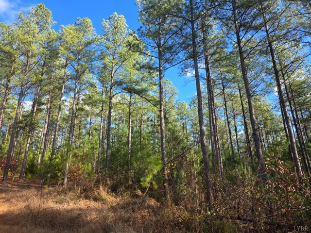 0 Norwood Road, Gladstone, VA 24553