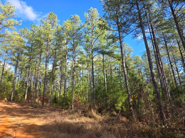 0 Norwood Road, Gladstone, VA 24553