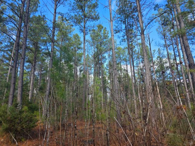 0 Norwood Road, Gladstone, VA 24553