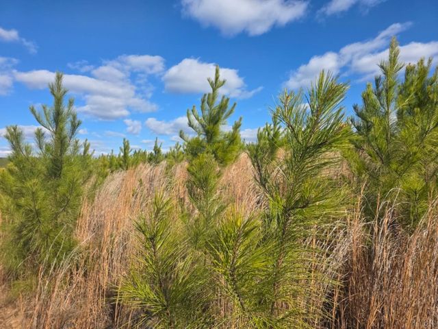 0 Norwood Road, Gladstone, VA 24553