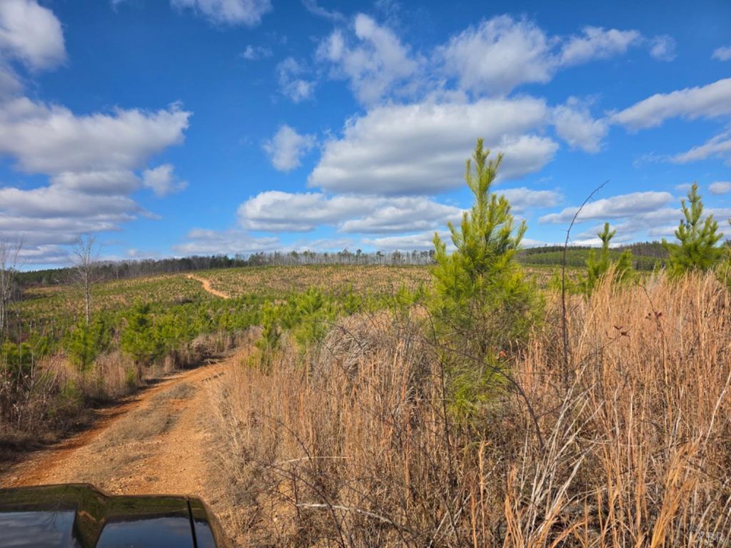 0 Norwood Road, Gladstone, VA 24553