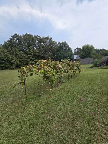 125 Starlight Lane, Romance, AR 72136