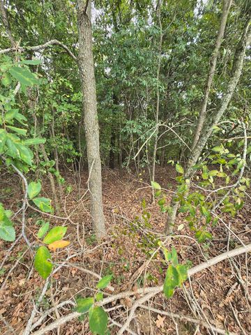 125 Starlight Lane, Romance, AR 72136