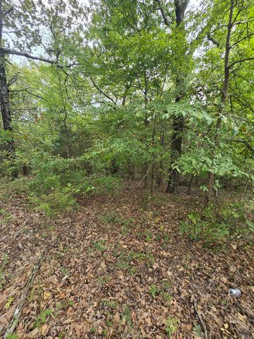 125 Starlight Lane, Romance, AR 72136