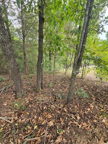 125 Starlight Lane, Romance, AR 72136