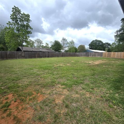 111 Bluegill Drive, Shepherd, TX 77371