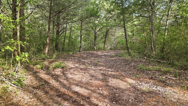 1165 Cr 213 Tract 3, Weimar, TX 78962