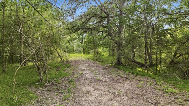 1165 Cr 213 Tract 3, Weimar, TX 78962