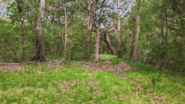 1165 Cr 213 Tract 3, Weimar, TX 78962