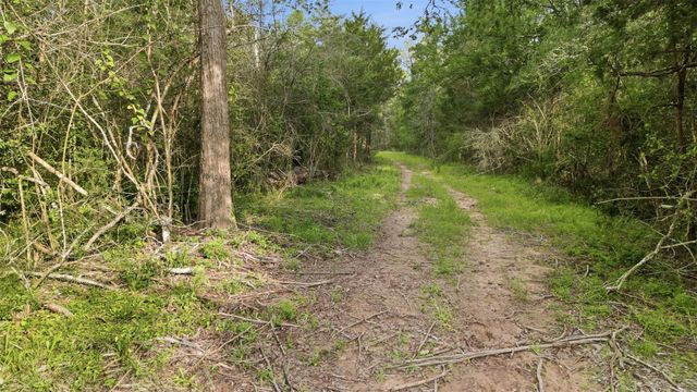 1165 Cr 213 Tract 3, Weimar, TX 78962