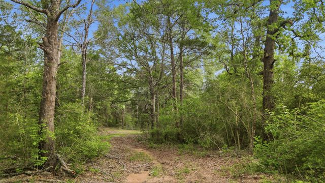 1165 Cr 213 Tract 3, Weimar, TX 78962