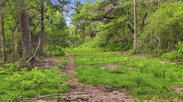 1165 Cr 213 Tract 3, Weimar, TX 78962