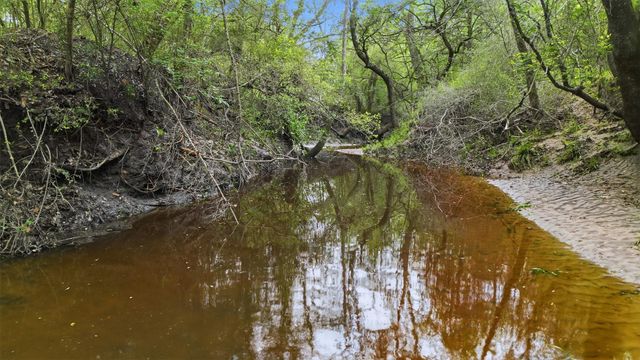 1165 Cr 213 Tract 3, Weimar, TX 78962