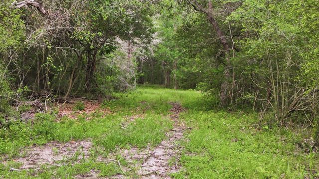 1165 Cr 213 Tract 3, Weimar, TX 78962