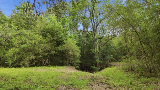 1165 Cr 213 Tract 3, Weimar, TX 78962