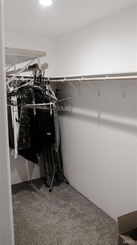 3215 Timber Ridge Road, Palmyra, MO 63461