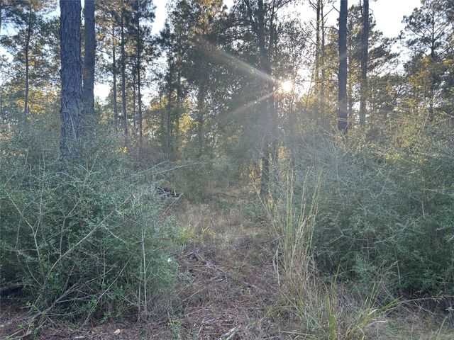 700 Pr 8160, Lovelady, TX 75851