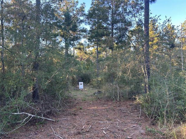 700 Pr 8160, Lovelady, TX 75851