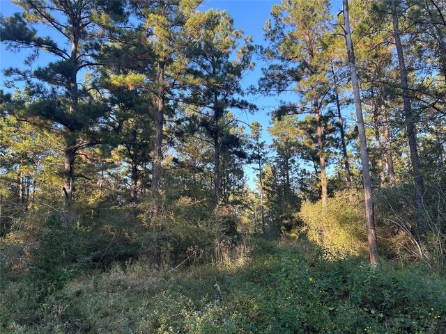 700 Pr 8160, Lovelady, TX 75851