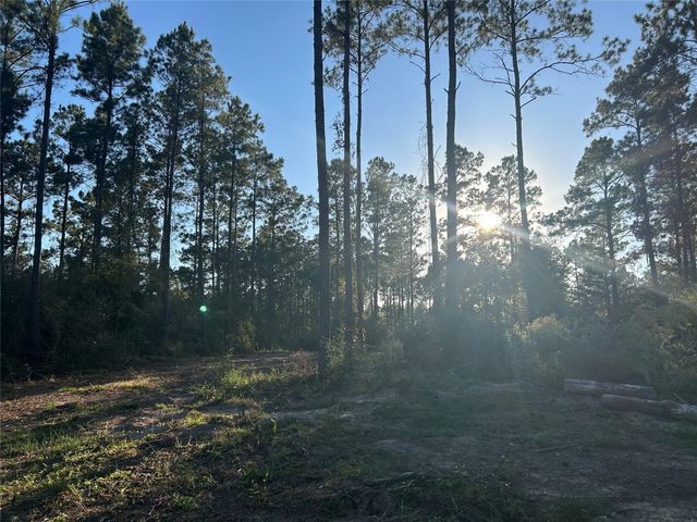 700 Pr 8160, Lovelady, TX 75851