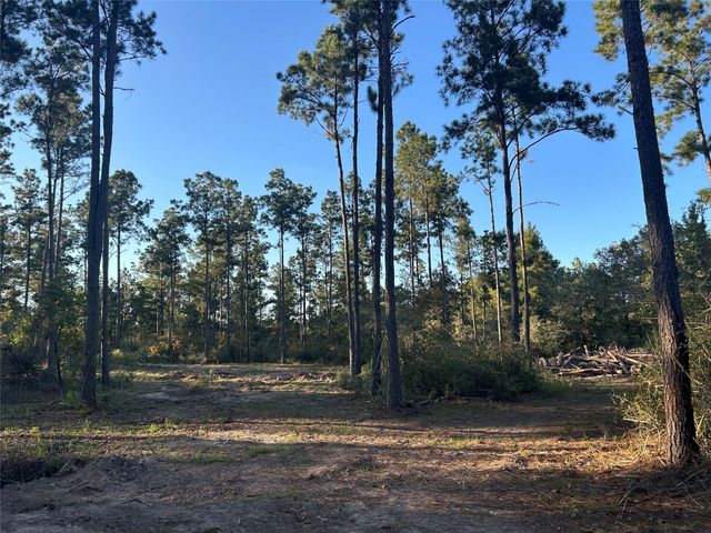 700 Pr 8160, Lovelady, TX 75851