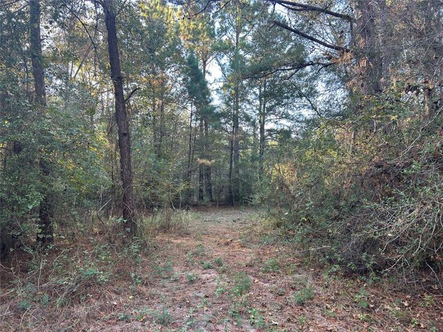 700 Pr 8160, Lovelady, TX 75851