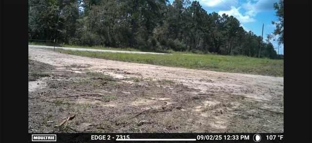 700 Pr 8160, Lovelady, TX 75851