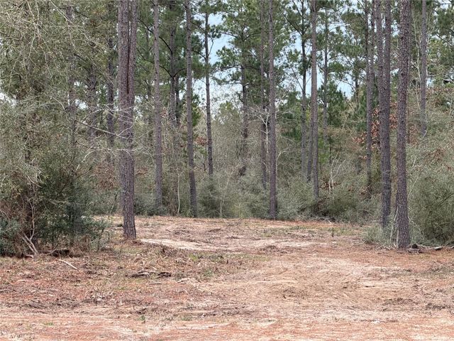 700 Pr 8160, Lovelady, TX 75851