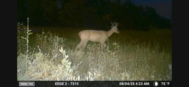 700 Pr 8160, Lovelady, TX 75851