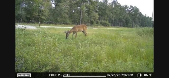 700 Pr 8160, Lovelady, TX 75851