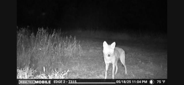 700 Pr 8160, Lovelady, TX 75851