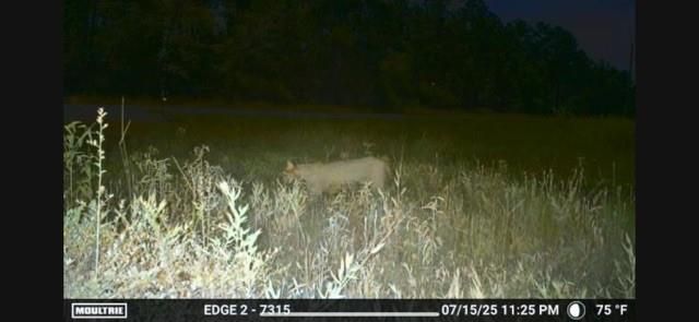 700 Pr 8160, Lovelady, TX 75851