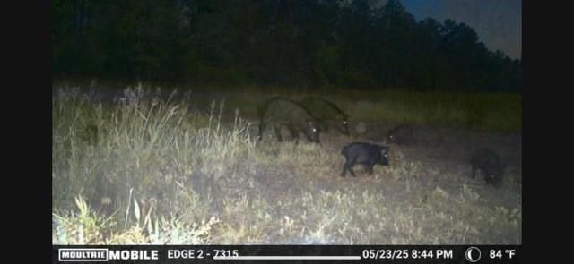 700 Pr 8160, Lovelady, TX 75851