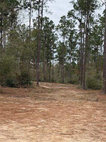 700 Pr 8160, Lovelady, TX 75851