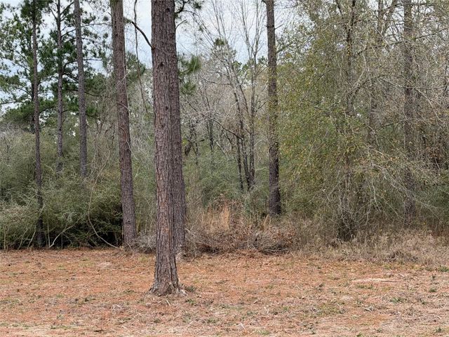 700 Pr 8160, Lovelady, TX 75851