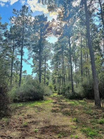 700 Pr 8160, Lovelady, TX 75851