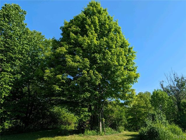 9990 Pennymix Road, Camden, NY 13316