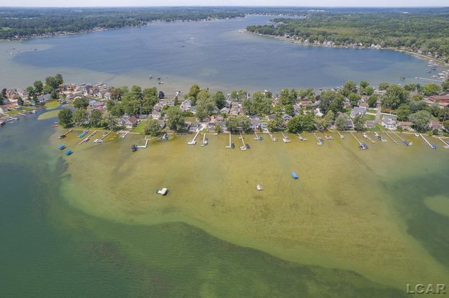 10950 W Ferndale Drive, Manitou Beach, MI 49253