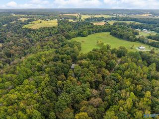 13.2 Acres Aunt Ann Hill Road, Lester, AL 35647