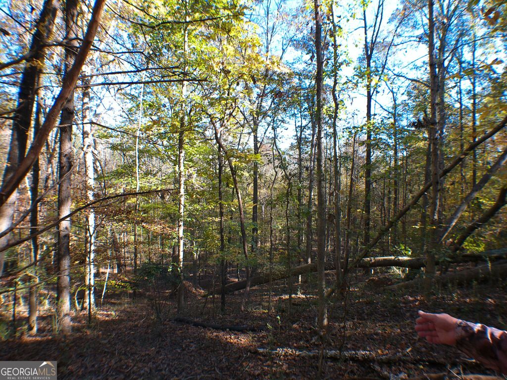 0 Dusty Road, Bowman, GA 30624 — photo 3